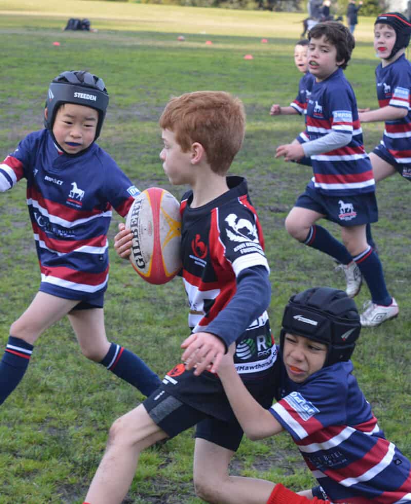 Box Hill Rugby Union Football Club